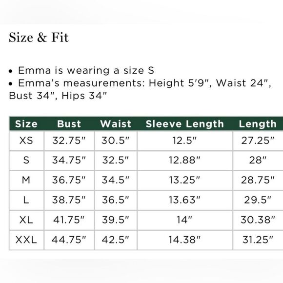 NWT Tuckernuck Emerald Puff Sleeve Sasha Mini Dress - Picture 9 of 9